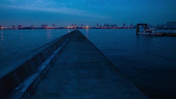 Ein Dämmeriger Zeitraffer Des Stadtbildes Der Nähe Des Containerhafens Tokio — Stockvideo