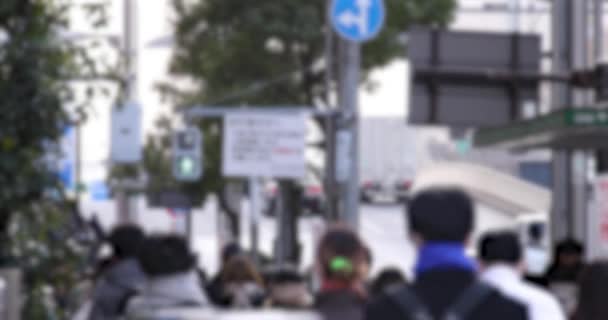 一群在城市街道上散步的人注意力分散了 高质量的4K镜头 日本东京中央区01 2023这是东京的一个电器区 它是东京的市中心 — 图库视频影像