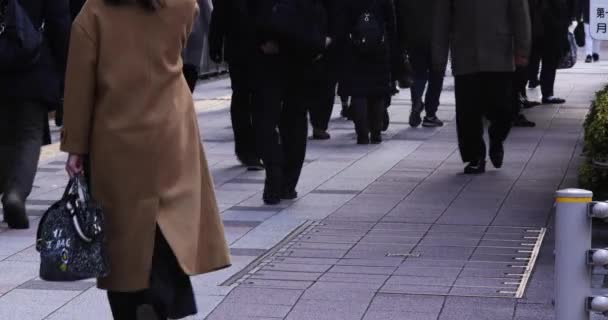 Uma Multidão Pessoas Caminhando Perna Rua Cidade Imagens Alta Qualidade — Vídeo de Stock