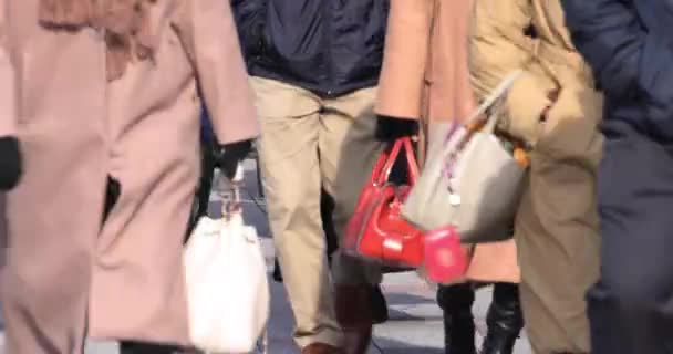 Uma Multidão Pessoas Caminhando Perna Rua Cidade Imagens Alta Qualidade — Vídeo de Stock