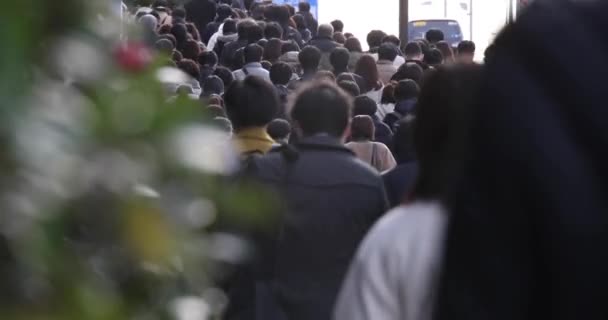 一群人在城市街道上走了很久 高质量的4K镜头 日本东京中央区02 2023这是东京的一个电器区 它是东京的市中心 — 图库视频影像