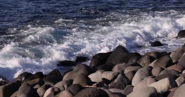 Eine Langsame Wellenbewegung Der Küste Sonnigen Tagen Teleaufnahmen Hochwertiges Filmmaterial — Stockvideo