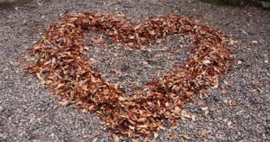 Bir kalp, sonbahar el kamerasıyla yerde kırmızı yapraklar oluşturdu. Yüksek kalite 4K görüntü. Oomiya Bölgesi Saitama Japonya 11.23.2022