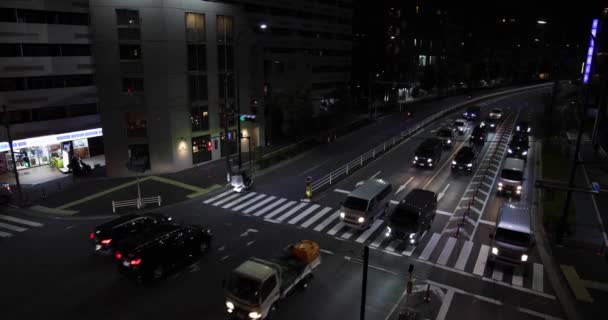 山手通りで夜行渋滞 目黒区大橋東京都 2023都会のネオン街です 高品質4K映像 — ストック動画