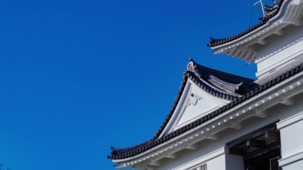 Ein Zeitraffer Der Wolke Der Odawara Burg Kanagawa Teleaufnahme Hochwertiges — Stockvideo