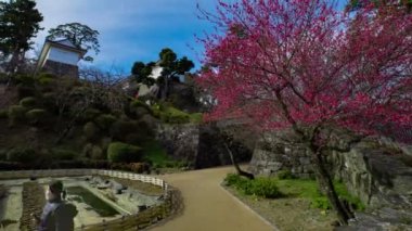 Odawara Şatosu 'nun Kanagawa' daki kapısında bir bulut zamanı. Yüksek kalite 4K görüntü. Odawara bölgesi Kanagawa Japonya 01.24.2023 Japonya 'da geleneksel mimaridir.