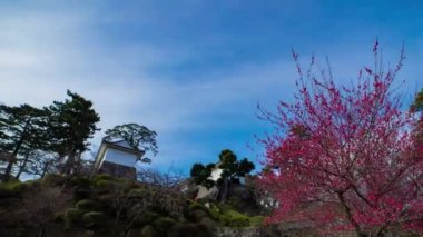 Odawara Şatosu 'nun Kanagawa' daki kapısında bir bulut zamanı. Yüksek kalite 4K görüntü. Odawara bölgesi Kanagawa Japonya 01.24.2023 Japonya 'da geleneksel mimaridir.