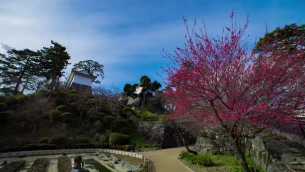 Eine Wolkenlücke Tor Der Odawara Burg Kanagawa Hochwertiges Filmmaterial Odawara — Stockvideo