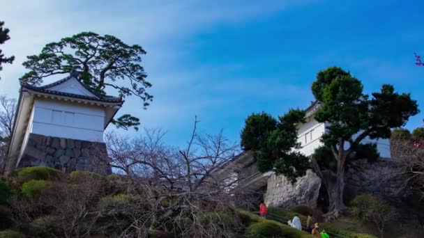 Timelapse Nube Puerta Del Castillo Odawara Kanagawa Imágenes Alta Calidad — Vídeo de stock