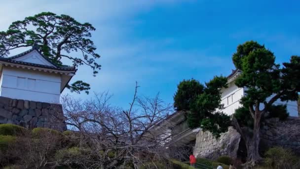 Timelapse Nuages Porte Château Odawara Kanagawa Images Haute Qualité Odawara — Video