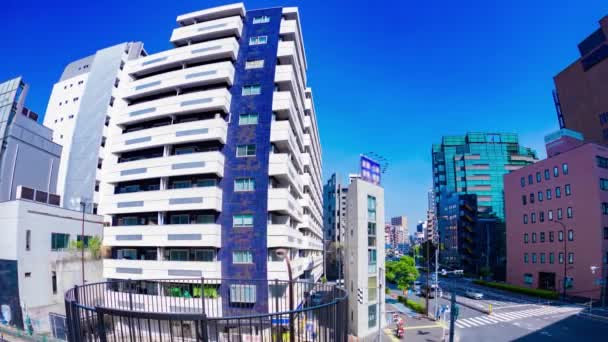 Uma Cronologia Engarrafamento Rua Cidade Tóquio Imagens Alta Qualidade Meguro — Vídeo de Stock