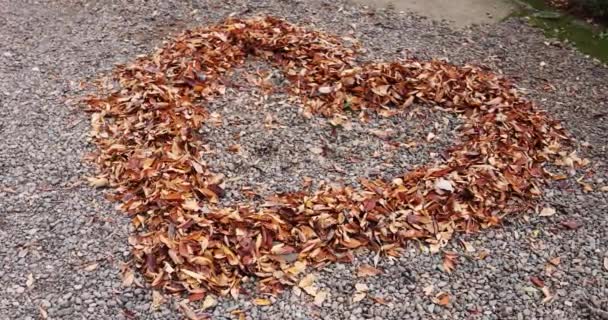 Heart Shaped Surrounded Red Leaves Ground Autumn Handheld High Quality — Stock Video