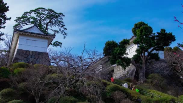 Timelapse Moln Vid Porten Till Odawara Slott Kanagawa Högkvalitativ Film — Stockvideo