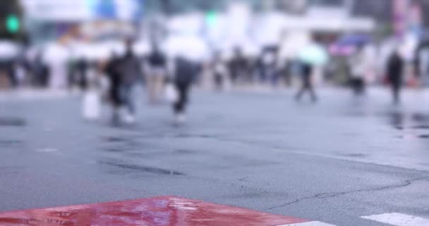 Ходячі Люди Території Shibuya Перетинають Дощовий День Високоякісні Кадрів Район — стокове відео
