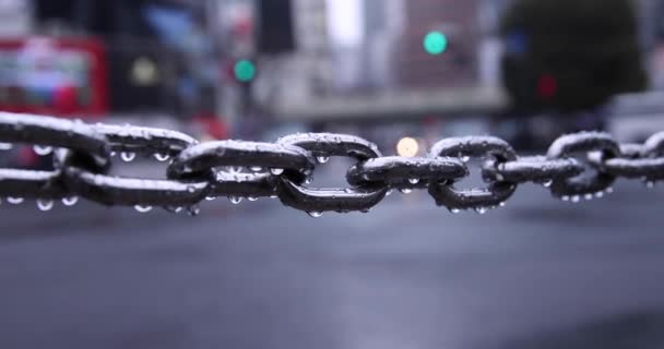 Silver Chain Walking People Shibuya Crossing Rainy Day High Quality — Stock Video
