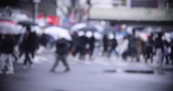 Paseando Gente Shibuya Cruzando Día Lluvioso Imágenes Alta Calidad Shibuya — Vídeo de stock
