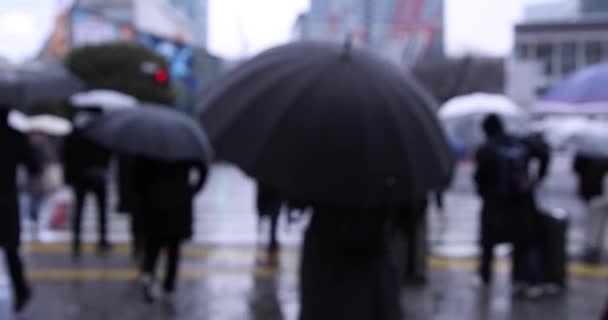 Περπατώντας Άνθρωποι Στο Πέρασμα Shibuya Βροχερές Μέρες Υψηλής Ποιότητας Πλάνα — Αρχείο Βίντεο