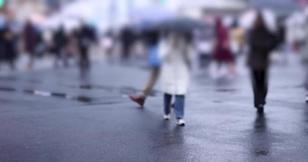 Walking People Shibuya Crossing Rainyday High Quality Footage Shibuya District — Stock Video