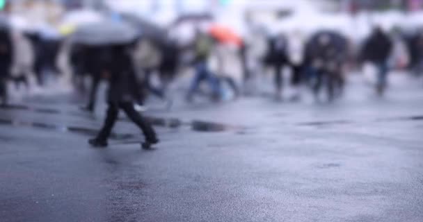 Spaziergänger Der Shibuya Überquerung Des Regentages Hochwertiges Filmmaterial Shibuya Bezirk — Stockvideo
