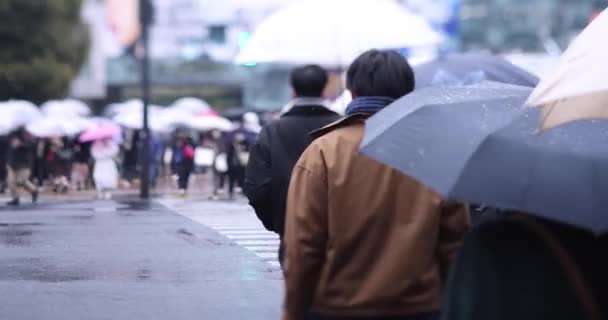 Paseando Gente Shibuya Cruzando Día Lluvia Imágenes Alta Calidad Shibuya — Vídeo de stock