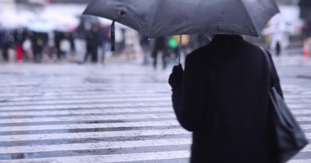 Chodící Lidé Shibuya Přecházejí Přes Deštivý Den Kvalitní Záběry Shibuya — Stock video