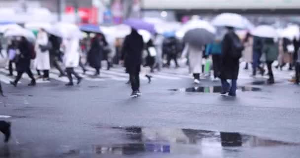 Shibuya Yürüyen Insanlar Yağmurlu Bir Günde Geçiyorlar Yüksek Kalite Görüntü — Stok video