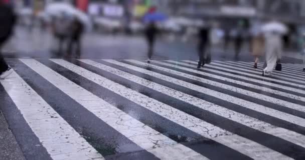 Odprowadzanie Ludzi Skrzyżowaniu Shibuya Deszczowe Dni Wysokiej Jakości Materiał Shibuya — Wideo stockowe
