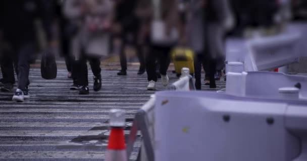 Lopende Mensen Bij Shibuya Kruising Regentijd Hoge Kwaliteit Beeldmateriaal Shibuya — Stockvideo