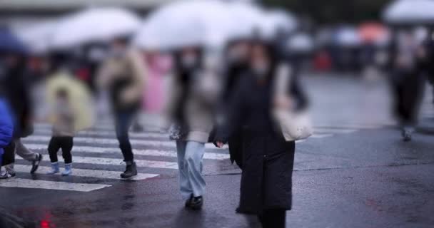 Прогулки Людей Shibuya Пересечения Дождя Высококачественные Кадры Японский Район Сибуя — стоковое видео