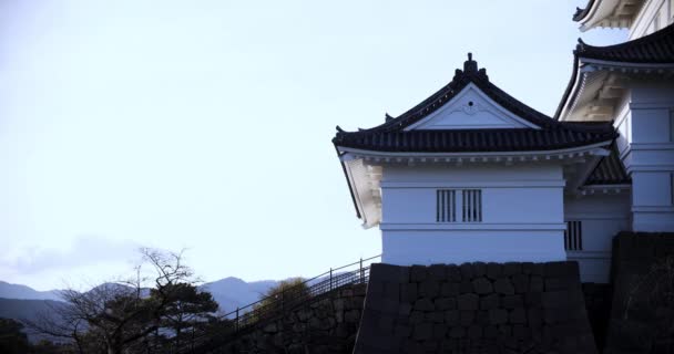 Zamek Odawara Kanagawie Teleobiektyw Wysokiej Jakości Materiał Odawara District Kanagawa — Wideo stockowe