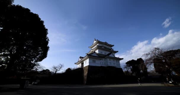Odawara Burg Kanagawa Weitschuss Hochwertiges Filmmaterial Odawara Bezirk Kanagawa Japan — Stockvideo