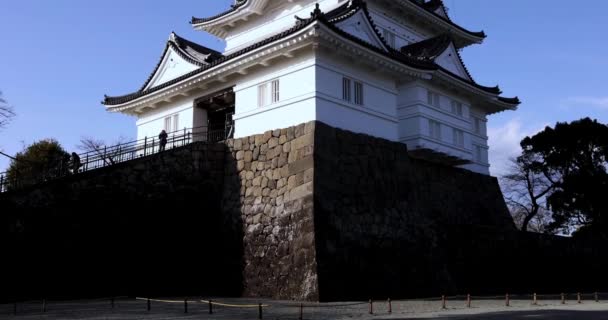Castelo Odawara Inclinação Kanagawa Imagens Alta Qualidade Odawara Distrito Kanagawa — Vídeo de Stock