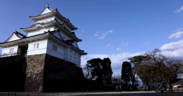 Castelo Odawara Kanagawa Imagens Alta Qualidade Odawara Distrito Kanagawa Japão — Vídeo de Stock