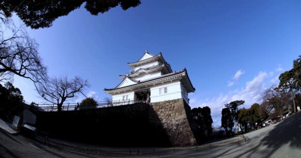 Castelul Odawara Din Kanagawa Fost Împuşcat Imagini Înaltă Calitate Districtul — Videoclip de stoc