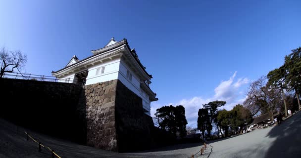 Odawara Burg Kanagawa Fischaugenschuss Hochwertiges Filmmaterial Odawara Bezirk Kanagawa Japan — Stockvideo