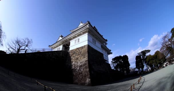 Zamek Odawara Kanagawie Strzał Oko Ryby Wysokiej Jakości Materiał Odawara — Wideo stockowe