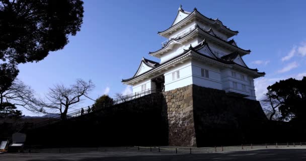 Odawara Schloss Kanagawa Sonnigen Tag Hochwertiges Filmmaterial Odawara Bezirk Kanagawa — Stockvideo