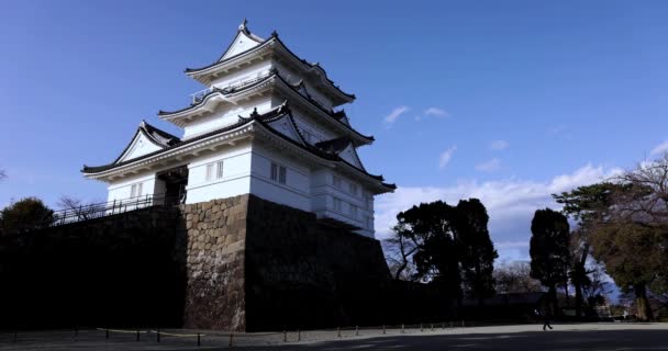 Castelo Odawara Kanagawa Dia Ensolarado Imagens Alta Qualidade Odawara Distrito — Vídeo de Stock