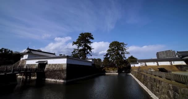 Das Tor Der Odawara Burg Kanagawa Schwenkt Einem Sonnigen Tag — Stockvideo