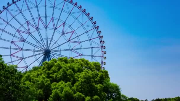 Timelapse Roue Ferris Mouvement Dans Parc Kasairinkai Images Haute Qualité — Video