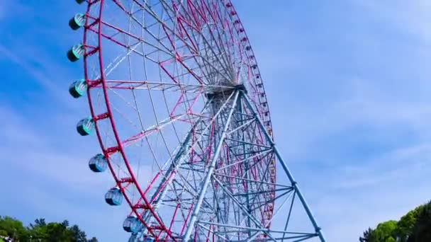 Ein Sich Bewegendes Riesenrad Kasairinkai Park Hochwertiges Filmmaterial Edogawa Bezirk — Stockvideo