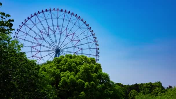 Timelapse Roue Ferris Mouvement Dans Parc Kasairinkai Images Haute Qualité — Video