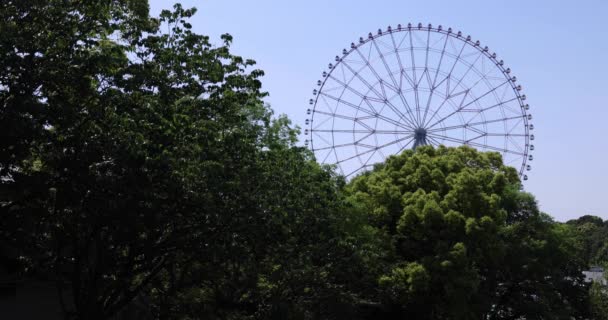 Движущееся Колесо Обозрения Парке Касайринкай Высококачественные Кадры Edogawa District Rinkaicho — стоковое видео
