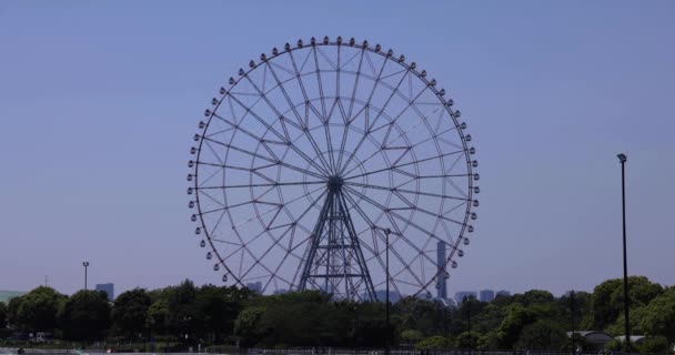 Uma Roda Gigante Movimento Parque Kasairinkai Imagens Alta Qualidade Edogawa — Vídeo de Stock
