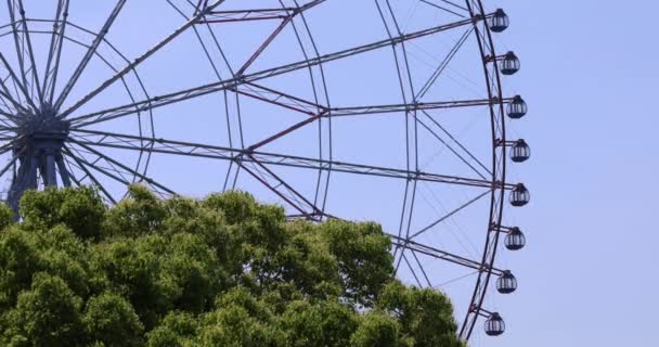 Kasairinkai公园的一个移动的摩天轮高质量的4K镜头 Edogawa District Rinkaicho Tokyo Japan 2023它是东京的摩天轮 — 图库视频影像