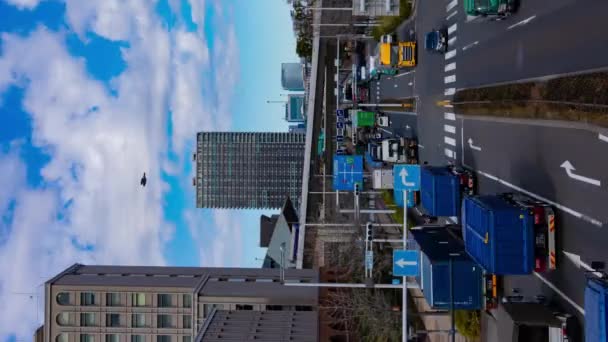 Timelapse Korka Drogowskazem Ulicy Miasta Tokio Wysokiej Jakości Materiał Koto — Wideo stockowe