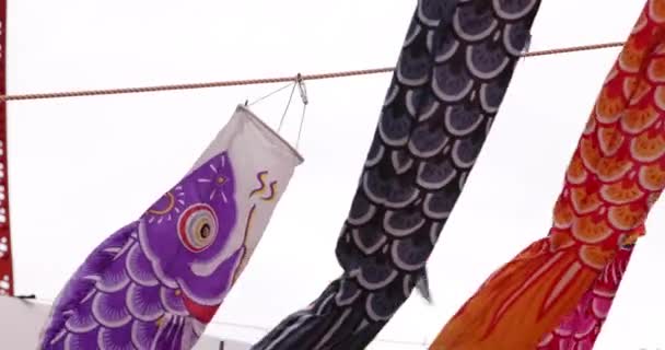 Serpentyny Karpiowe Mieście Pochmurny Dzień Teleobiektywu Wysokiej Jakości Materiał Minato — Wideo stockowe