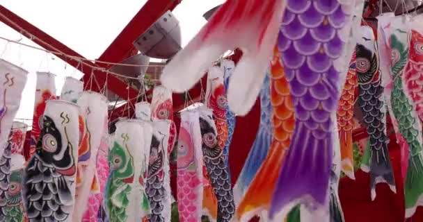 Karpfenluftschlangen Der Stadt Bewölkten Tag Teleaufnahmen Geschossen Hochwertiges Filmmaterial Minato — Stockvideo