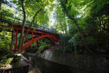 Todoroki Tokyo 'da nehrin kıyısındaki küçük bir vadi. Yüksek kalite fotoğraf. Setagaya bölgesi Todoroki Tokyo Japonya 08.02.2023 Tokyo 'daki Todoroki vadisi..