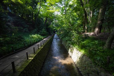 Todoroki Tokyo 'da nehrin kıyısındaki küçük bir vadi. Yüksek kalite fotoğraf. Setagaya bölgesi Todoroki Tokyo Japonya 08.02.2023 Tokyo 'daki Todoroki vadisi..